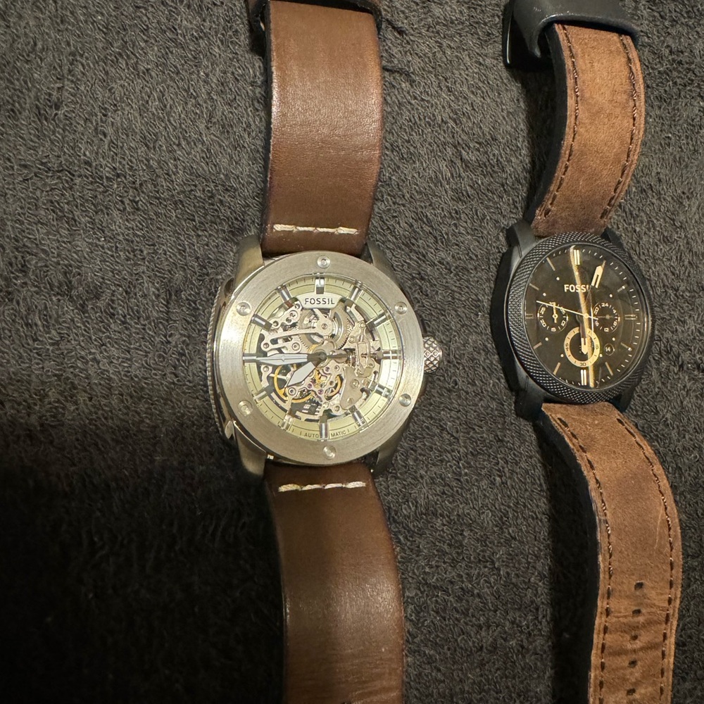 Fossils Only The Smaller One - image 1